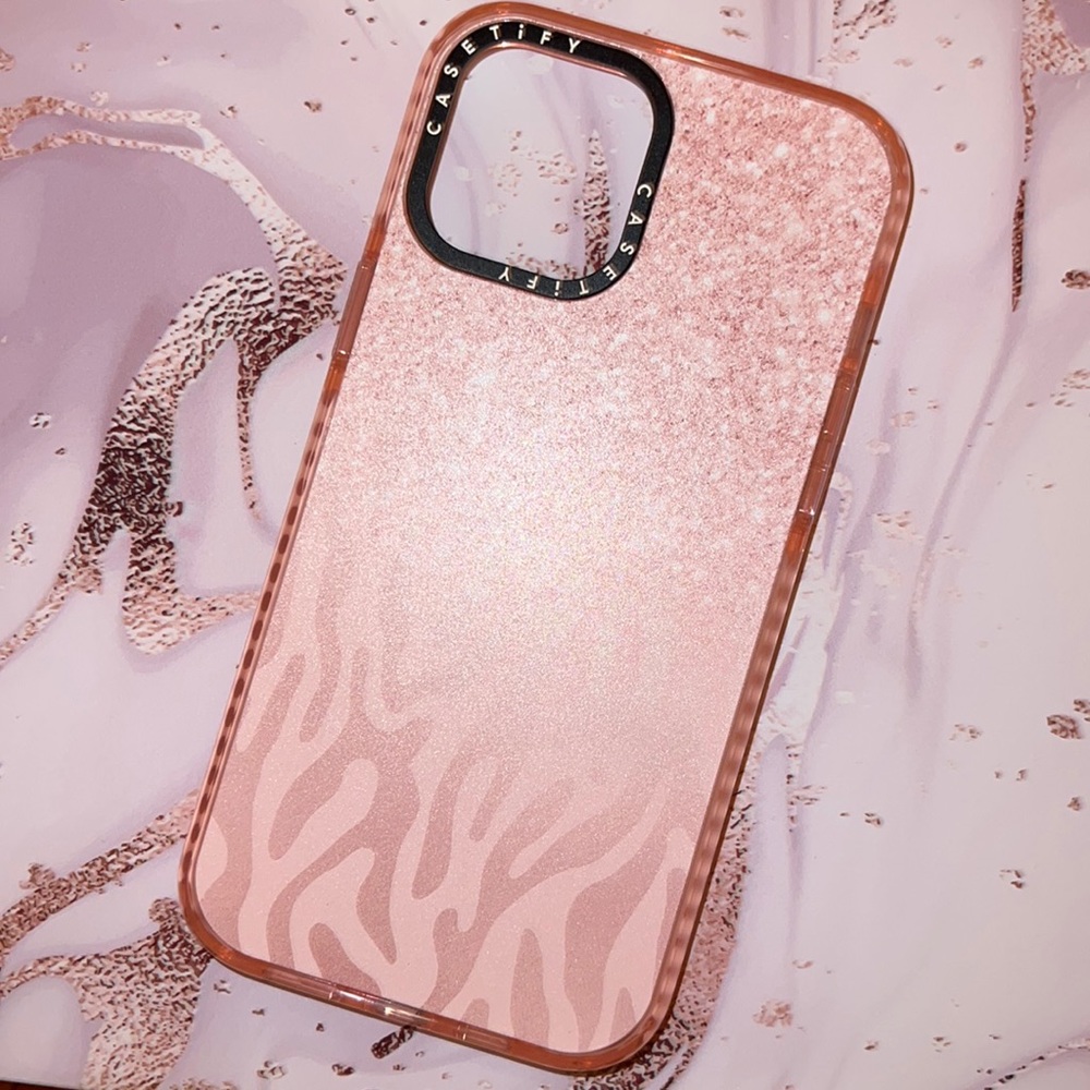 iPhone 12 Pro Max case